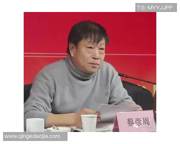 武汉乒乓球队在钻石联赛中实现转型的奋斗历程与未来展望