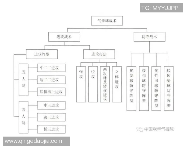 上海排球队联赛表现分析团队配合与战术执行的关键因素探讨