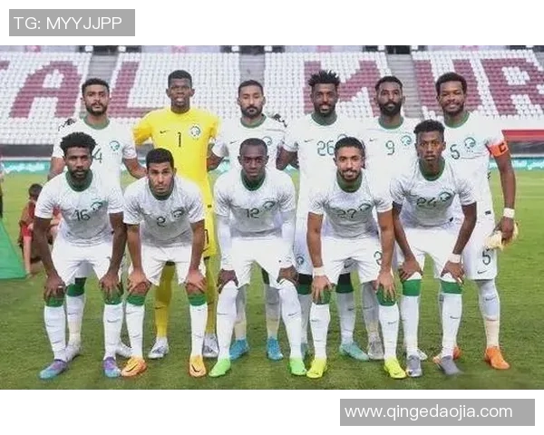 沙特本土足球明星盘点及其在国际舞台上的表现与影响